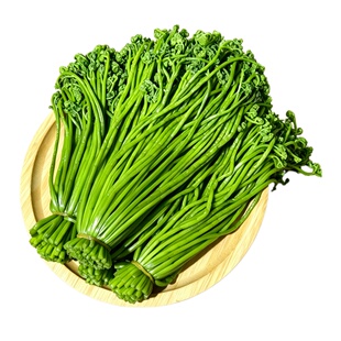 东北蕨菜新鲜野生山野菜新货食盐腌制咸蕨菜猴腿菜无老根口感嫩滑