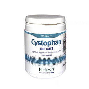 英国沙斯多芬猫咪尿频尿血泌尿道结石膀胱炎尿闭猫沙司多芬利尿通