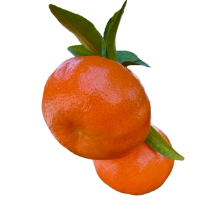 四川红橘大红袍橘子重庆万州古红桔陈皮川桔子当季新鲜水果10斤5