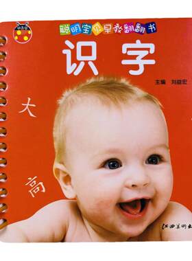 甲壳虫启蒙早教翻翻书识字