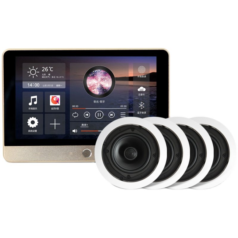 Hivi/惠威VX6-C定阻同轴天花吸顶喇叭门店家用立体声吊顶音箱套装