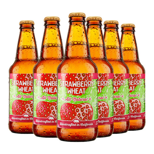 美国迷失海岸进口精酿啤酒西瓜橘子草莓小麦啤酒果味