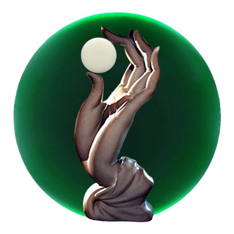 双龙奇胜 云子围棋儿童初学便携围棋