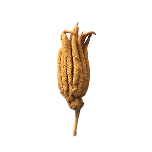 金华佛手观赏佛手果佛手柑整个佛手果干 干佛手把玩干果清供