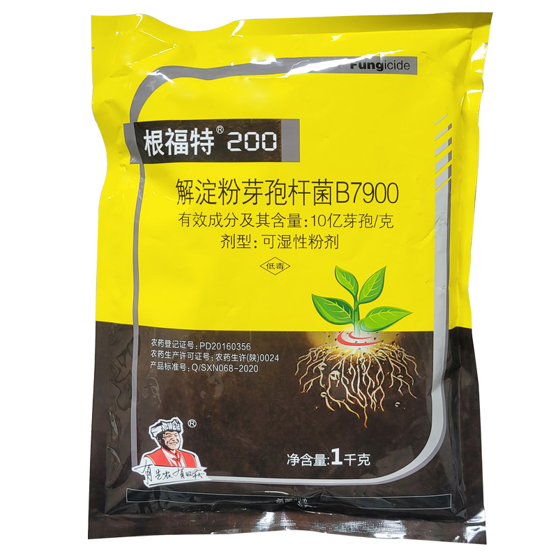 解淀粉芽孢杆菌辣椒番茄荔枝梨桃李茶西瓜杀细菌性角斑病黄萎药剂