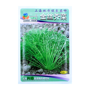 金丝芥菜种子蔬菜孑菜籽四季蔬菜孑苗秋冬细叶种籽咸菜菜种介菜种