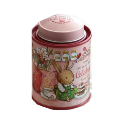 可爱精致迷你拱形双盖马口铁盒