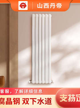 6030钢制丹帝暖气片家用全屋集中供暖钢二柱方圆头水暖5025散热器