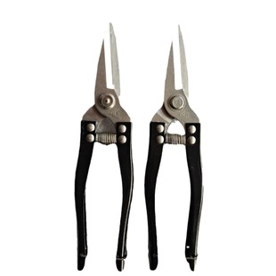 罗定花剪果剪修枝剪园林果剪果树剪刀省力树枝修葡萄剪刀园艺剪刀