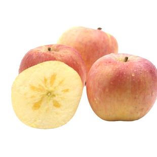 专享冰糖心正宗徐州丰县大沙河丑苹果10包邮红富士冰糖心孕妇水果