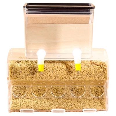 昂三只芦丁鸡防刨食槽自动喂水器