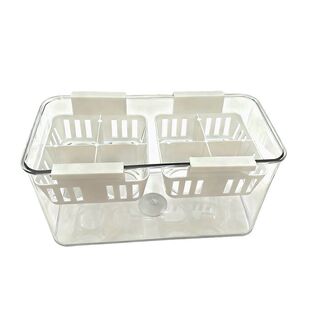 水培郁金香专用花盆透明非玻璃花瓶含塑料定植篮水养郁金香种球盆