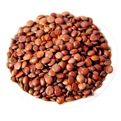 酸枣仁正品旗舰店正宗中药材可磨粉正品野生搭百合茯苓炒熟枣仁茶