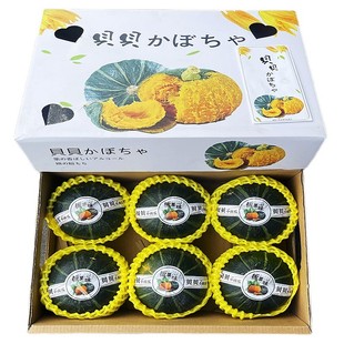 现货贝贝小南瓜板栗味5-6只礼盒辅食香甜糯贝贝南瓜新鲜蔬菜包邮