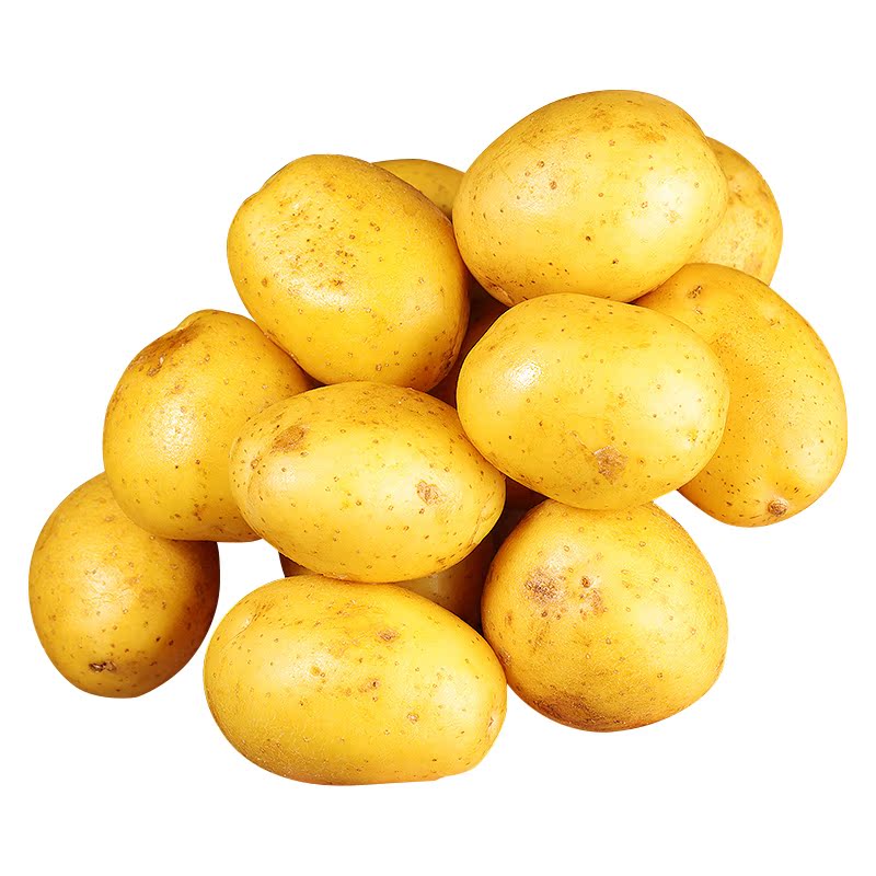 现挖现发!恩施小土豆!软糯香甜