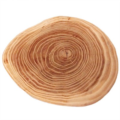 模型托盘底座灵活搭配用途