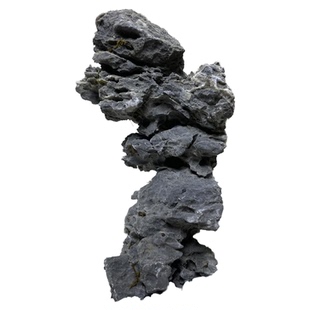 盆景抱石附树青龙石底座摆件室内阳台复古装饰门口户外庭院花园