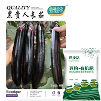 Семена баклажанов Heiguiren длинные 50 семян + 1 кг соевого шрота, органическое удобрение