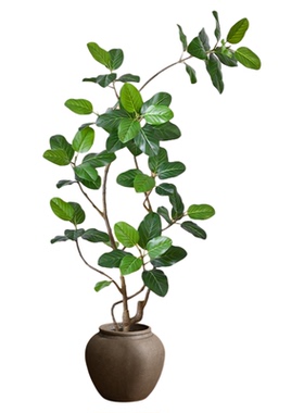 高级仿生绿植孟加拉榕盆栽假树