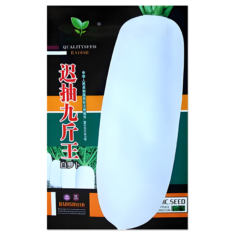 华煜迟抽九斤王白萝卜种子