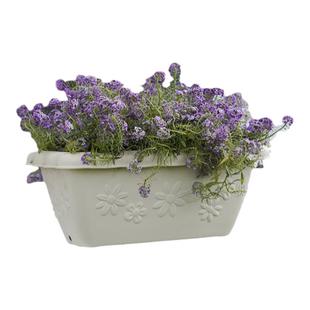 海蒂的花园旗舰店爱丽思长条花纹花盆家用庭院阳台种花种菜专用箱