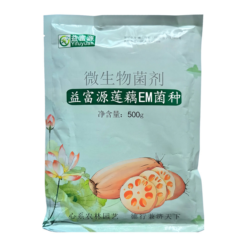 免发酵莲藕em菌种藕白节粗产量高