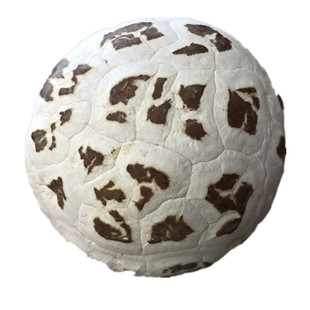 天白花菇干货新货香菇冬菇肉厚蘑菇土特产500g包邮产地发货