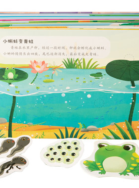 阳光宝贝魔法安静书反复贴纸书