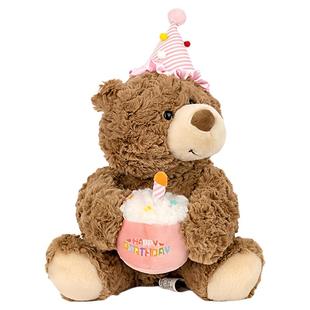 正版生日蛋糕小熊公仔送花玩偶泰迪熊毛绒玩具安抚娃娃抱枕送女友