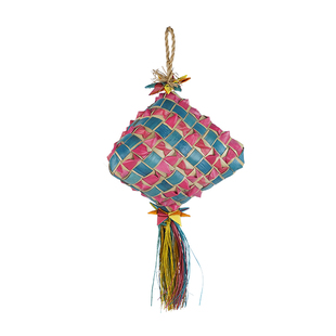 PLANET普拉尼棕榈玩具特价-灰机凯克小太阳鹦鹉专用啃咬解闷挂件