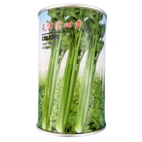 [Специально для большой площади больших полей и теплиц] Семена сплошного сельдерея Tianjin 70 г консервы