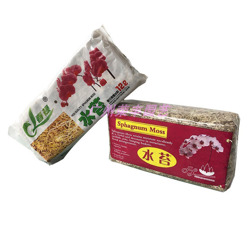 出口干水苔 苔藓 优质兰花无土栽培介质.保湿用A级水苔小包装包邮