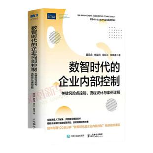 数智时代的企业内部控制 关键风险点控制 流程设计与案例详解 融合大数据人工智能等信息技术 管理会计内控人员案头书籍 新华正版
