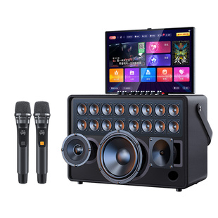 sansui山水户外广场舞K歌音响功放点歌话筒声卡一体机新款KTV音箱