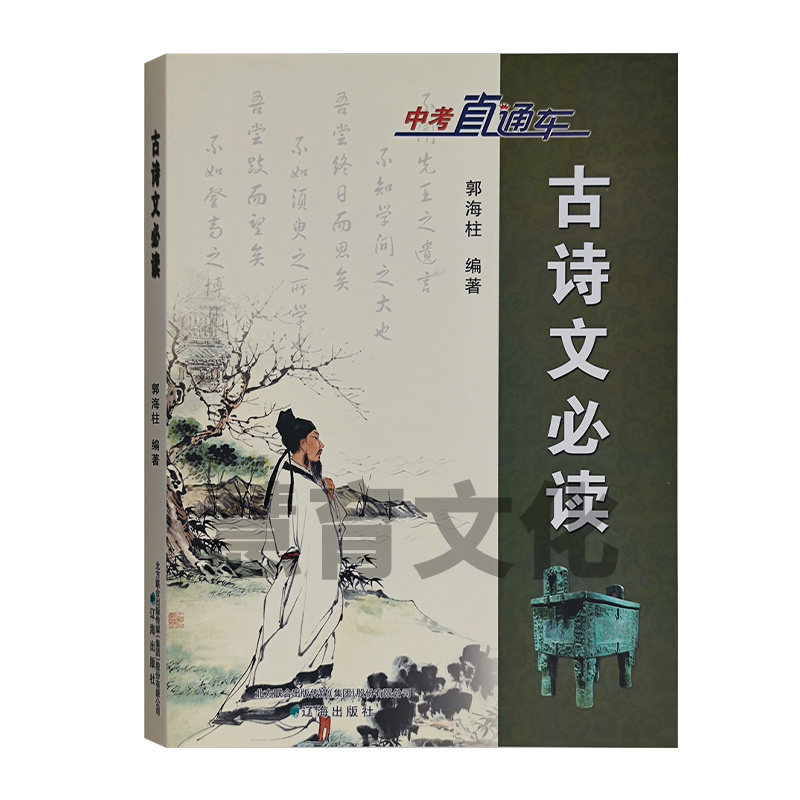 2026版中考直通车古诗文必读初中语文记叙文必读议论文课外文言文赏析说明文古诗文积累与运用记叙文精选初中通用2025年新