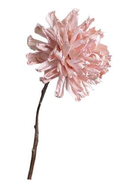 芍药牡丹轻奢真花干花花束