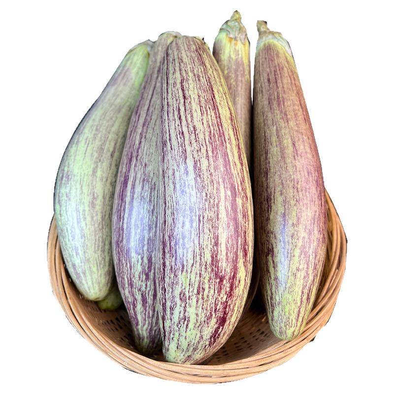 云南西双版纳新鲜冰川茄子新鲜糯茄子新鲜蔬菜当季时令蔬菜包邮