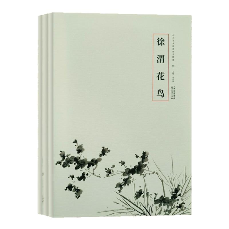 历代名家绘画册页精选 陈淳徐渭吴镇水墨写意花鸟画临摹技法文人花鸟画临摹范本 国画初学者零基础入门教程 艺术收藏鉴赏画集