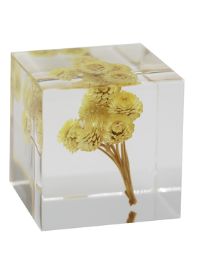 亚克力手工永生花个性化植物标本