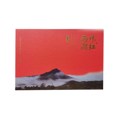 雨林润红五指山高山古树红茶