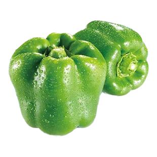 高产圆椒菜椒苗辣椒苗秧苗青椒太空椒方椒种籽灯笼椒秧子阳台菜苗