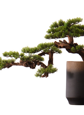 新中式风玄关仿真罗汉松