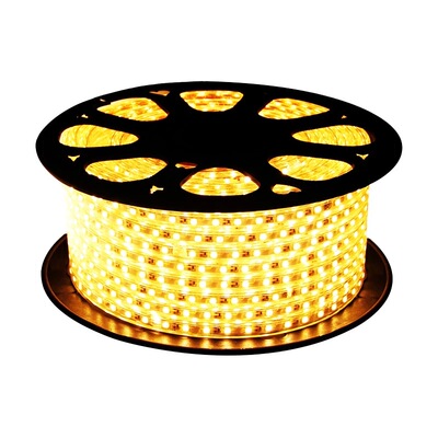 佛山照明LED灯带220V超亮100米装