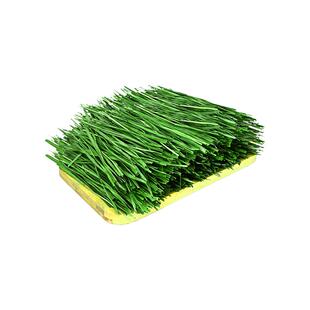 提摩西烘干草兔子干草兔粮荷兰猪草料豚鼠粮草龙猫专用苜蓿食用草