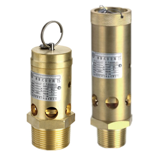 上海埃弗斯A28X-16T弹簧全启式安全阀螺杆机空压机安全阀泄压阀