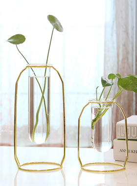 北欧金属铁艺水培容器玻璃试管花瓶干花插花创意家居客厅简约摆件