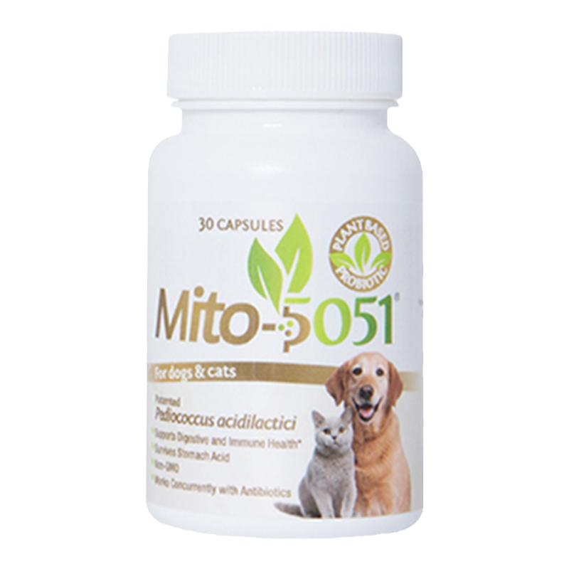 Mito5051猫猫狗狗益生菌调理肠胃