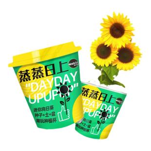 美乐棵 家庭潮玩植物种植杯儿童园艺DIY种植礼品樱桃番茄萝卜黄瓜