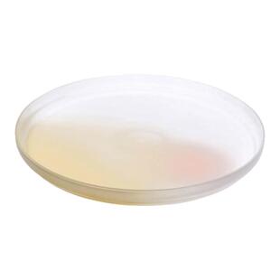 土耳其NUDE进口Pigmento盘水晶玻璃彩色果盘果盆圆形托盘家用极简