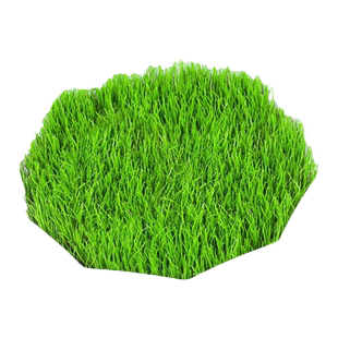 草坪草籽狗牙根马尼拉护坡绿化庭院黑麦草籽地毯草皮种子